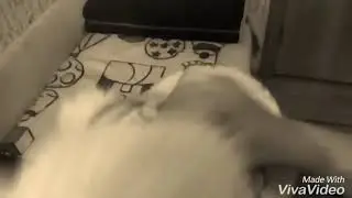 не повторяйте опасно !!!!!!!!!!!!!!!!!!!!!!!!!!!!!!!!!!!!!!!!!!!!!!!!!!!!!!!!!!!!!!!!!!!!!!!!!!!!!!!