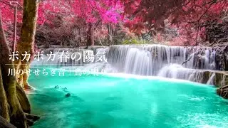 【ASMR ・自然音】川のせせらぎと鳥のさえずり Nature Sounds｜勉強・作業用BGM・｜川の音・リラックス