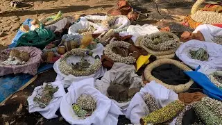BYOLINA OKUMANYA KUBAANA ABALONGO ABAZZALE N’ABOBUTONZI, WUUNO OMULONGO BULI MUNTU GWALINA OKUSIBA.