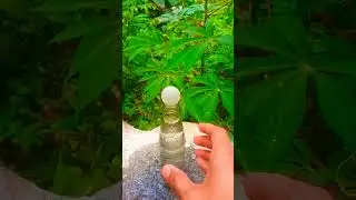 🔥ball expirement and bottle experiment.easy science experiment|#shorts #M4TECH#FISHING_FREAKS