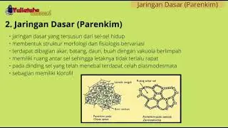 Struktur dan fungsi jartum_Organ Tumbuhan & Proses fotosintesis | IPA8