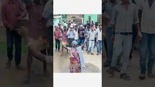 Wedding with a Dog