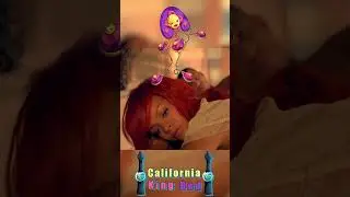 The Stand California King Bed 🤝 The Song