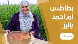 صينية البطاطس الحمرا المتسبكة بالرز في الفرن الفلاحي من غير لحمة و لا فراخ علي طريقة ام احمد