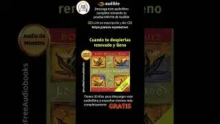 Los Cuatro Acuerdos Audiolibro