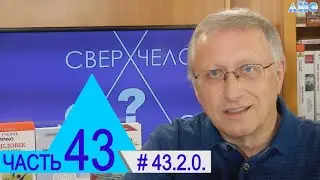 43.2.0. Характер и истинная сущность человека. Проект 