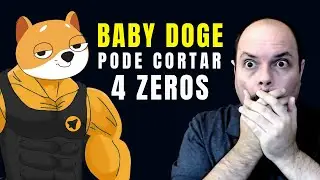 BABY DOGE SUPPLY 420q ou 840q - AULA