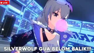 KAPAN SILVERWOLF GUA BALIK??