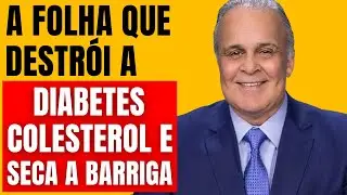 MIRACLE: 1 Leaf that Destroys Diabetes, Bad Cholesterol and Abdominal Fat!