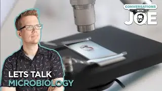 Hank Green's Journey To The Microcosmos | Conversations With Joe Clip