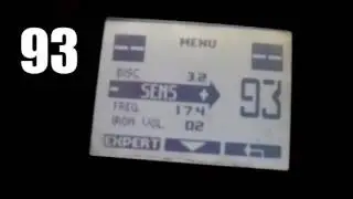 XP DEUS SIDS HAMMY SETUP