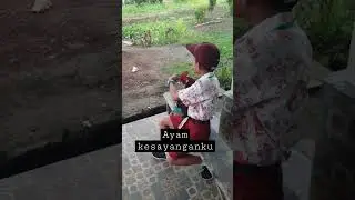 anak sd sedih,ayam kesayangan#mentawai#sikakap#talopulei#makalo#beach