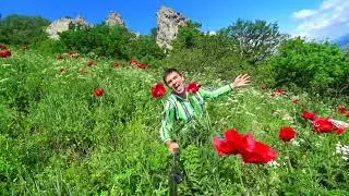 Владимир Волынкин-Алые маки