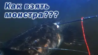 НАСТОЯЩАЯ ПОДВОДНАЯ ОХОТА!!! ВЗЯТЬ РЫБУ В ПОЛНОМ МРАКЕ!!!