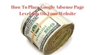 How to place Google adsense Page-level ads code on wordpress website