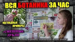 вся БОТАНИКА  за час
