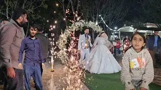🎆 Uncle's relentless efforts to make Shaukat happy! From the love tree to the dream party 💃