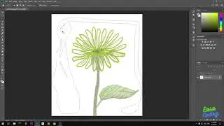 Fixed: Lasso Tool Crashes Freezes Photoshop CC