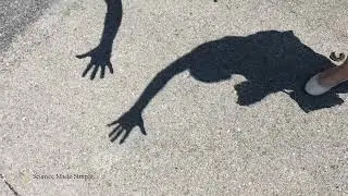 Solar Eclipse Shadows