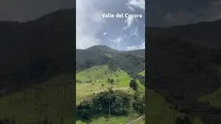 Valle de Cocora Quindío. #colombia #quindío #montaña #palmas