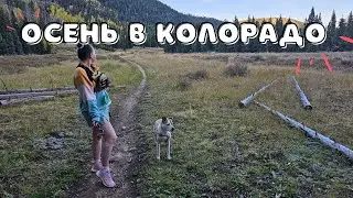 Я в шоке что творится в Колорадо??