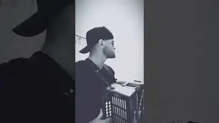 Сектор Газа - Тёща (cover на гармони)