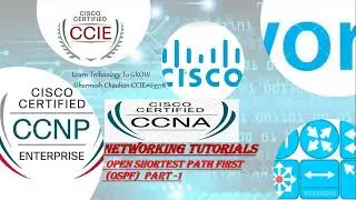 What is OSPF | Open Shortest Path First | Basics Of OSPF, Characteristics and Neighborship Criteria