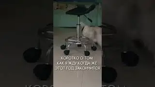 #22мой