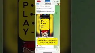 Ежедневное комбо 25-26 августа Хамстер Комбат (Hamster Kombat)