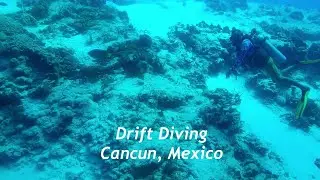 Drift Diving in Cancun, Mexico