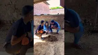 गोबर गैस | Shagun 