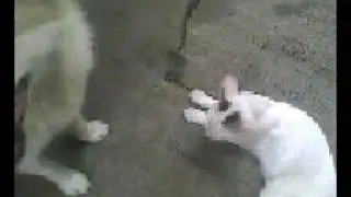 Boom2 n nick