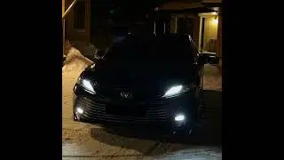 Шамиль Идрисов 1уьре хаз йелла вай сома🔥🔥🔥🔥🔥