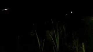 Лягушки квакают (Гагры Абхазия) - Frogs croak (Gagra Abkhazia)