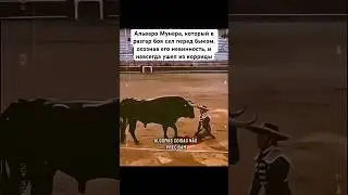 последняя встреча🥺💔#рек#бык#друг