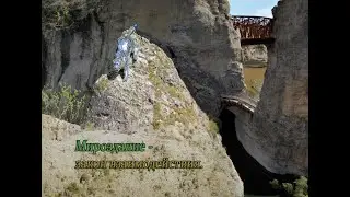 Зеркальный барс. Осетия.
