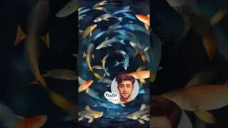 Правозащитный гороскоп на июль 2024: Рыбы #shorts