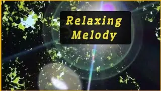Calm Relaxing Guitar Melody | Relaxing music 2024