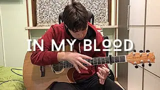 In my blood- Shawn Mendes cover ( fingerstyle guitar) Geni Fetahu