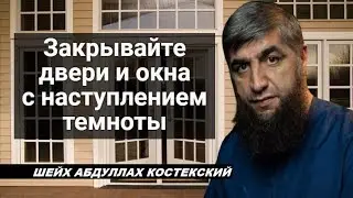 Закрывайте двери и окна с наступлением темноты - шейх Абдуллах Костекский