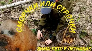 ГДЕ РАСТУТ СМОРЧКИ.🍄🍄🍄 ЖИЗНЬ В ДЕРЕВНЕ.