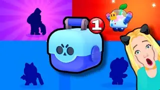 MI-A PICAT SPROUT, MR.P, BEA si FRANK DIN BRAWL BOX