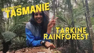 Vlog 