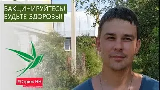 Врач Шишкин Георгий о вакцинации. Стриж-НН 2021