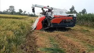 Amazing Rice Cutter Machine//mini rice cutter#rice#cutterدھان کاٹنے والی نئ مشین