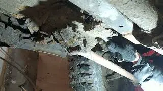 На очередной Ниве оторвали задний мост