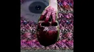 VHS Head - Unreleased Live Track "Cinevision"