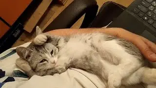 Кренделя и пельмешки