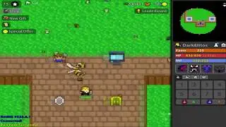 ROTMG Pet feeding / Getting vault space