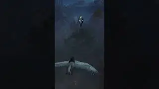 I flying on a Hippogriff 😍